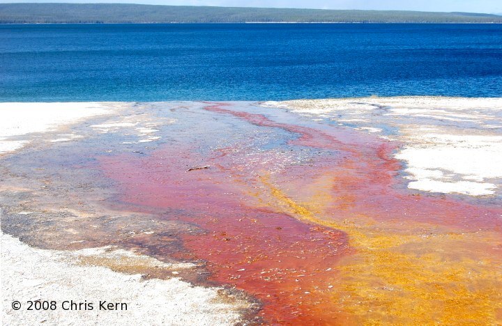 Hot Spring Emptying into Yellowstone Lake, Yellowstone National Park, Wyoming, USA (2008)