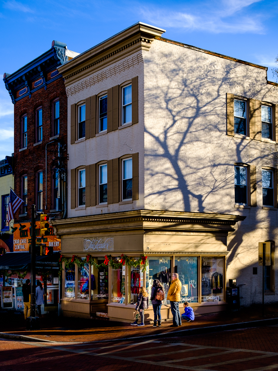 Urban Tree, Annapolis, Maryland, USA (2018)