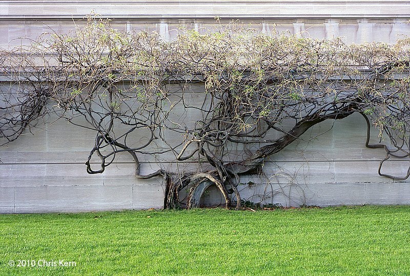 West Wing Wall, Washington, District of Columbia, USA (2010)